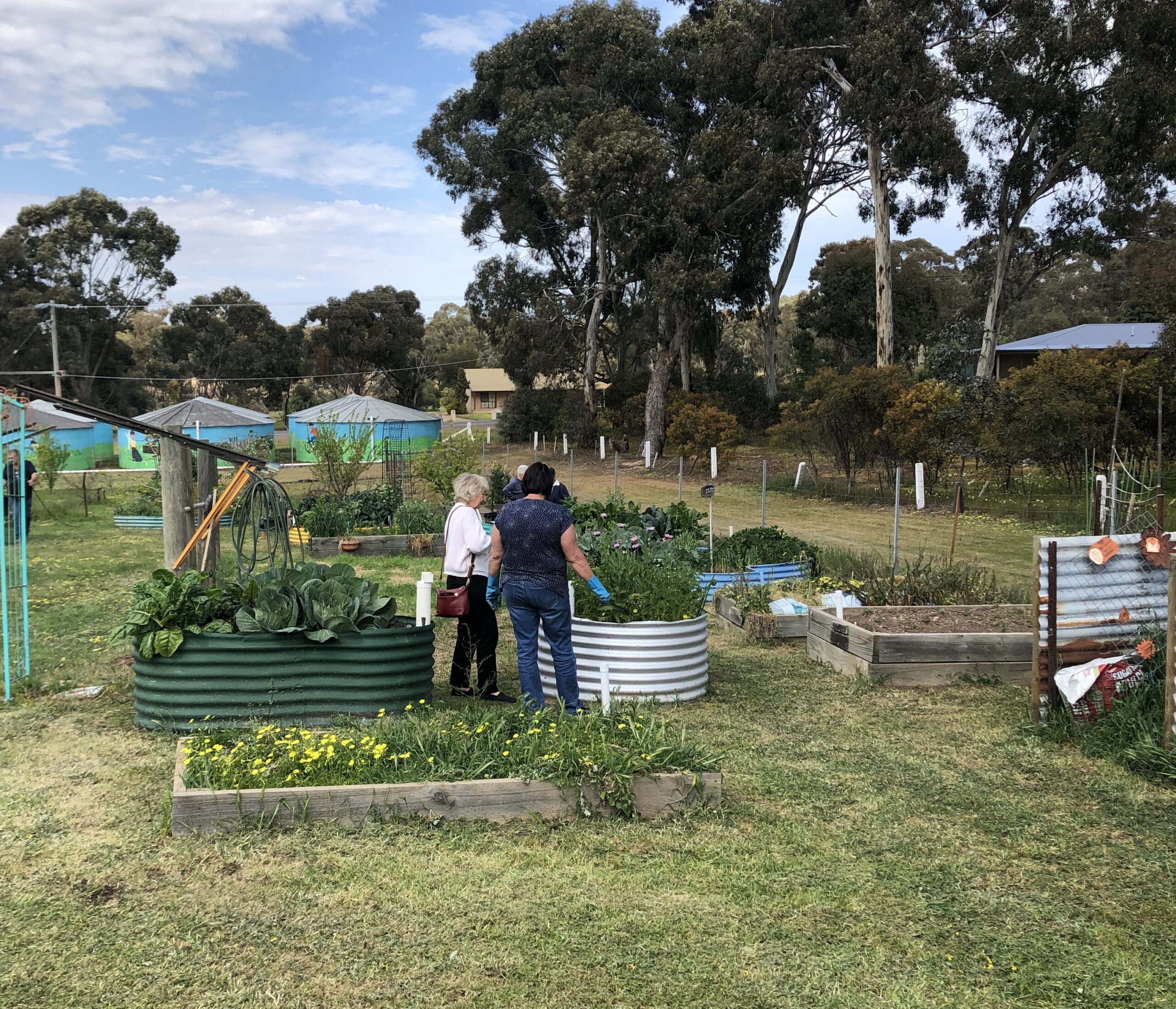St Arnaud Community Garden to Grow thanks to the WDEA Works Foundation
